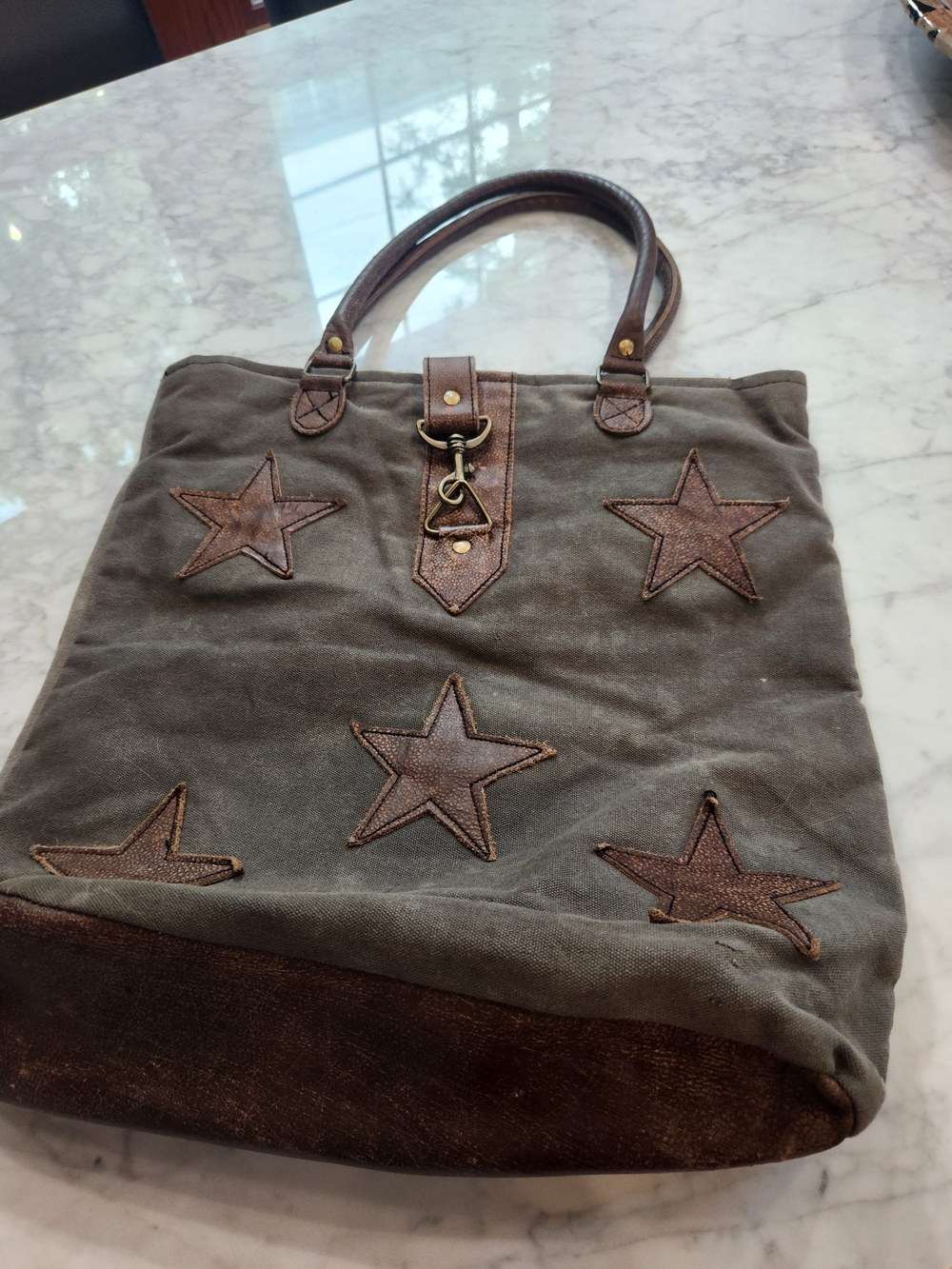 Myra Bag 2 Tone Brown Brown Canvas Star Appliqué Satchel 16x16x10 handles
